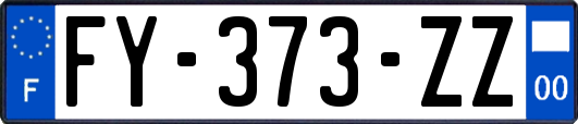 FY-373-ZZ