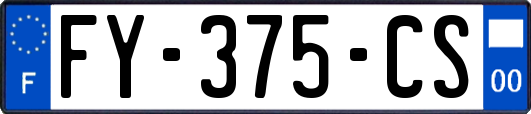 FY-375-CS