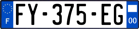 FY-375-EG