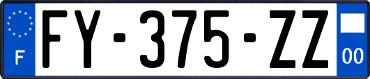 FY-375-ZZ