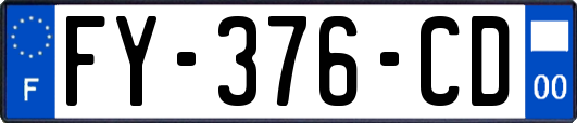 FY-376-CD