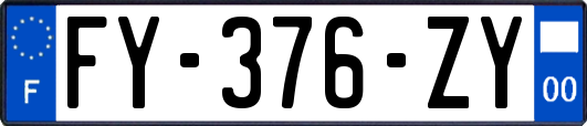 FY-376-ZY
