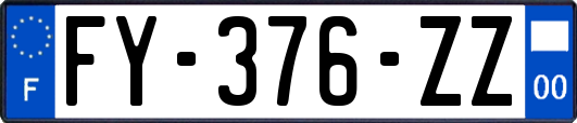 FY-376-ZZ