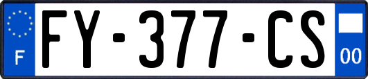 FY-377-CS