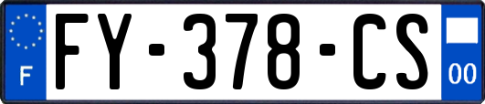 FY-378-CS
