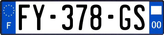 FY-378-GS