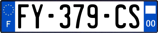 FY-379-CS