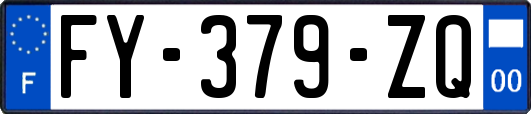 FY-379-ZQ