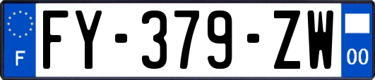 FY-379-ZW