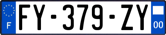 FY-379-ZY