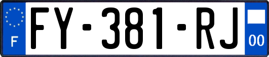 FY-381-RJ