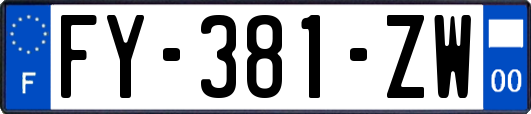 FY-381-ZW
