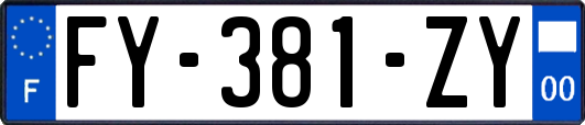 FY-381-ZY