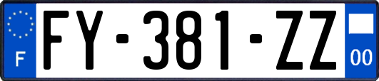 FY-381-ZZ