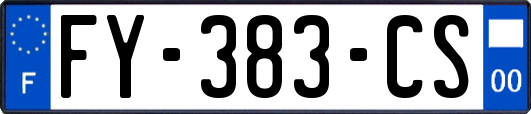 FY-383-CS
