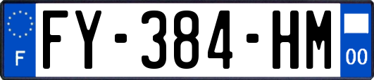 FY-384-HM