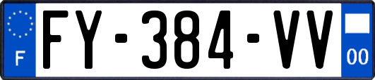 FY-384-VV