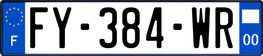 FY-384-WR