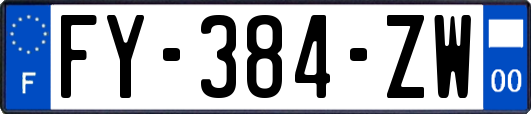 FY-384-ZW