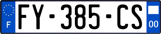 FY-385-CS