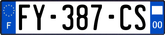 FY-387-CS