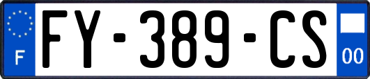 FY-389-CS