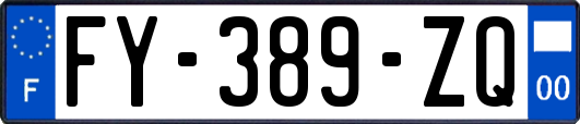 FY-389-ZQ