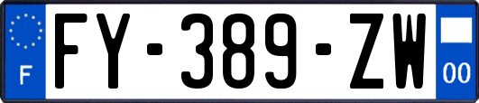 FY-389-ZW