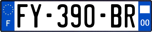 FY-390-BR
