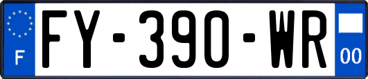 FY-390-WR