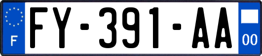 FY-391-AA