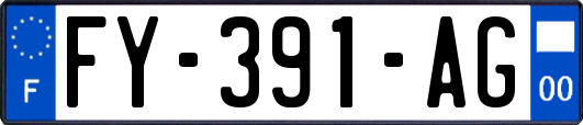 FY-391-AG