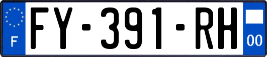 FY-391-RH
