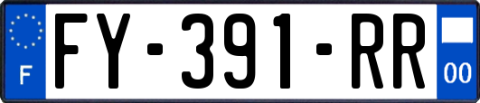 FY-391-RR