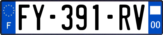 FY-391-RV
