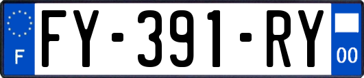 FY-391-RY