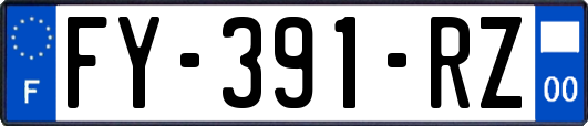 FY-391-RZ