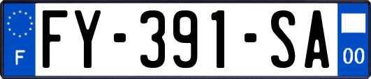 FY-391-SA