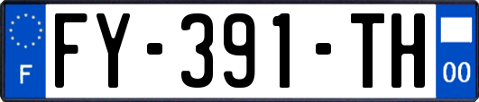 FY-391-TH