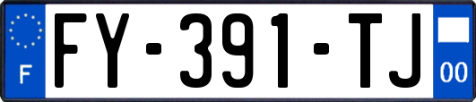 FY-391-TJ