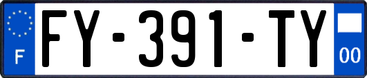 FY-391-TY