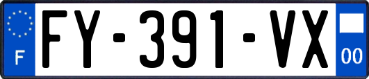 FY-391-VX