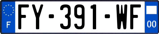 FY-391-WF