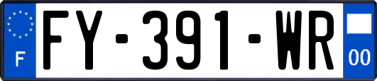 FY-391-WR
