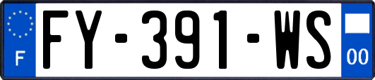 FY-391-WS