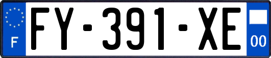 FY-391-XE