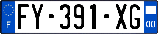 FY-391-XG