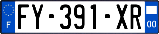 FY-391-XR