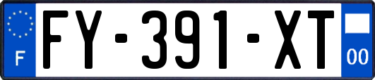 FY-391-XT