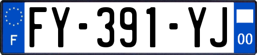 FY-391-YJ